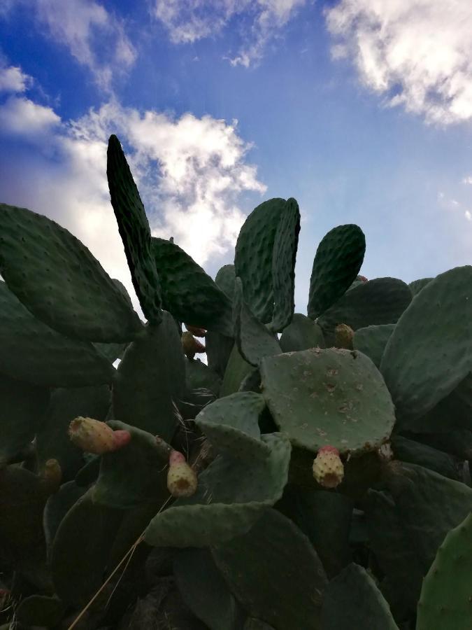 Casavero Oroklini Eksteriør bilde